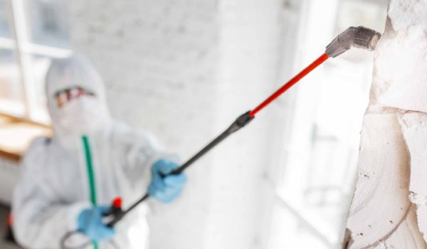 Problem Restfeuchte:  Einzug nicht übereilen