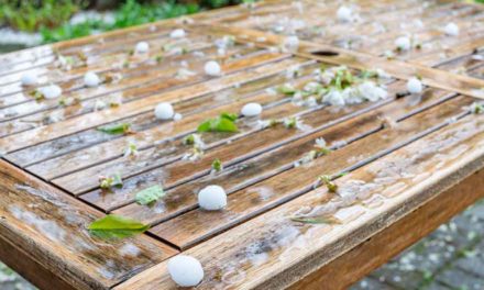 Präventativmaßnahmen und Versicherungen für Hausbesitzer